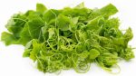 Chayote blade (Fak Maew-blade), 200g, THA - Image 2
