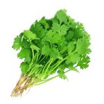 Koriander, 50g, KFT - Image 2
