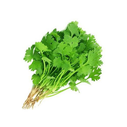 10102