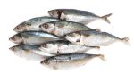 Indisk makrel, 1kg, Asians Pearl, VNM - Image 2