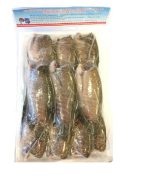Slangeskind gurami fisk, 1kg, Asian Pearl, VNM - Image 2