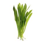 Stærk koriander, 70g, KFT, THA - Image 2