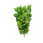 Mynte 20 bdt - Image 2