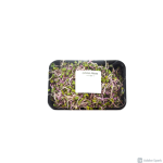 Kinesisk rosespirer
50 gr - Image 2