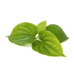 Cha Plu blade, 100g, KFT, THA - Image 2