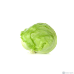 Icebergsalat, 10stk, ESP - Image 2