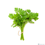 Koriander frisk 20 bundter - Image 2