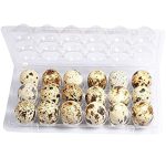 Vagtelæg frisk, 18stk - Image 2