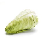 Spidskål, NLD - Image 2