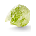 Icebergsalat, 10stk, Spanien - Image 3